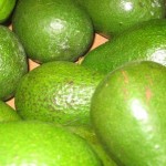 Avocados_1