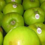 Bramley Apples_1