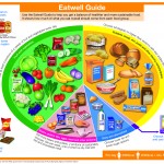 Eatwell_guide_2016_FINAL_MAR-16_1