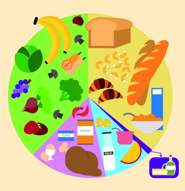 Eatwell Guide Illustration