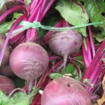 Beetroot_1