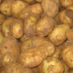 New Potatoes_1