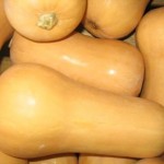 butternut-squash_1