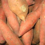 sweet-potatoes_1