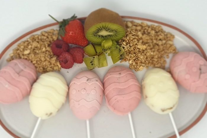 Frozen Yogurt Treats - PhunkyFoods